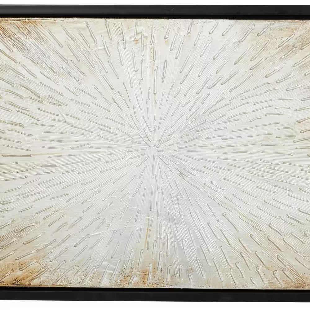1- Panel Starburst Radial Framed Wall Art with Black Frame 20 In. X 71 In.